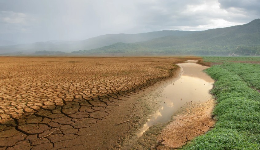Guía completa para el cuidado de muebles de madera 1