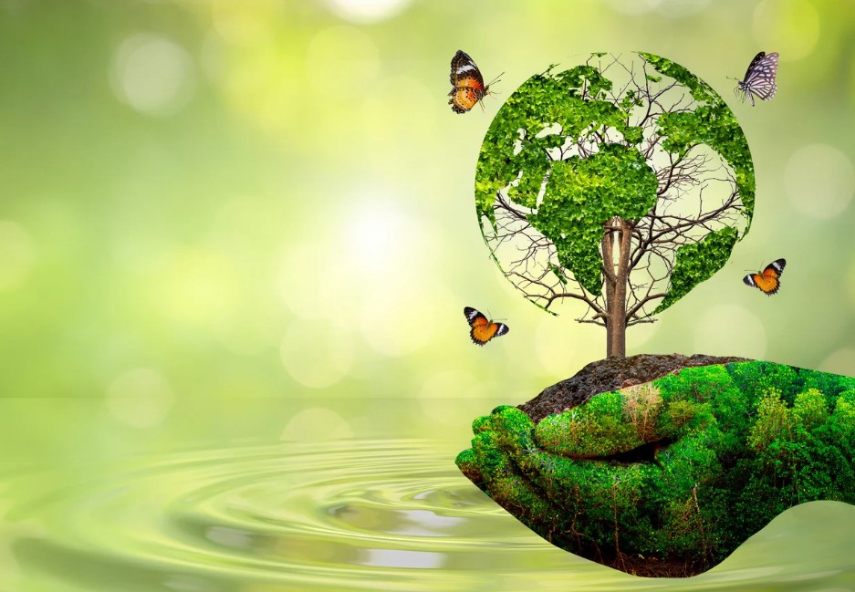 Tarima tecnológica (Composite) vs. Madera para exteriores 2